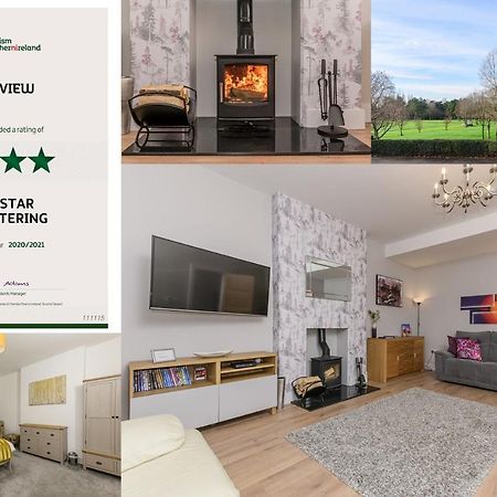 Park View - 4 Star Luxury Villa Belfast Buitenkant foto