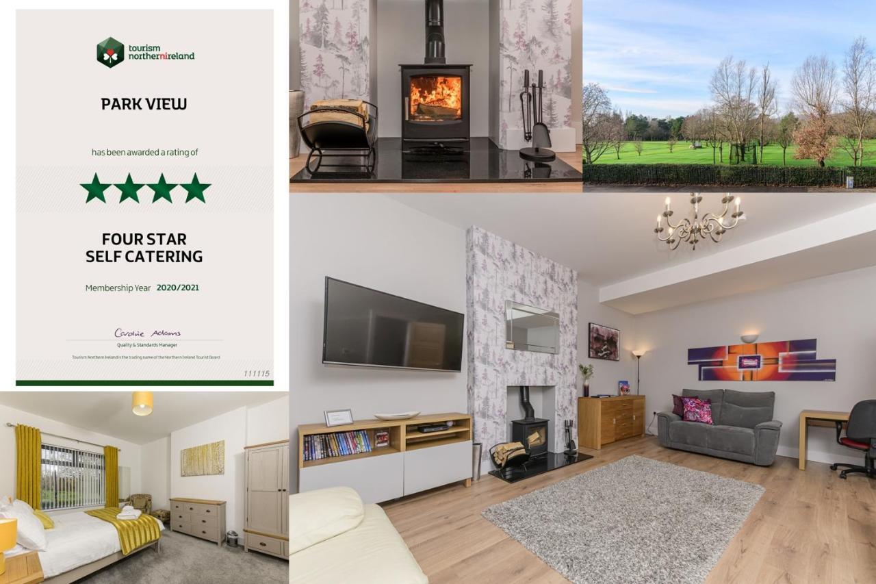 Park View - 4 Star Luxury Villa Belfast Buitenkant foto